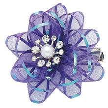 Load image into Gallery viewer, Dasha Designs Party Box Clip