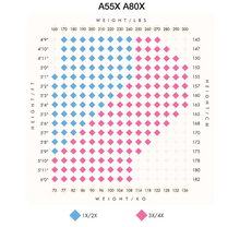 Load image into Gallery viewer, Body Wrappers Shimmer Tights Plus Ladies