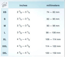 Load image into Gallery viewer, Dance paws Ladies