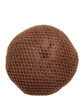 Load image into Gallery viewer, Bunheads Hair Net Bun Cover