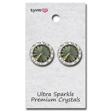 Load image into Gallery viewer, Thank You Very Much 20 MM Center Stone Clip Earrings
