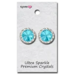 Load image into Gallery viewer, Thank You Very Much 20 MM Center Stone Clip Earrings
