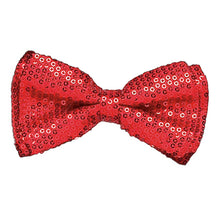 Load image into Gallery viewer, Dasha Designs Sequined Bowties or Headbands
